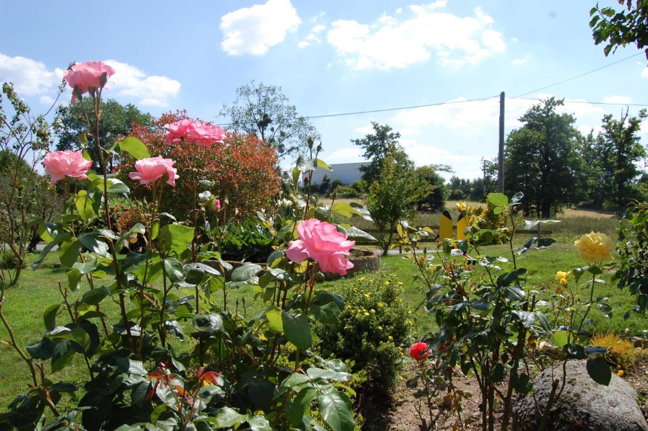 Bed and Breakfast Le Pont St Michel Maen Roch Exterior foto